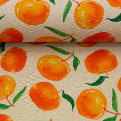 Canvas - appelsienen- € 15