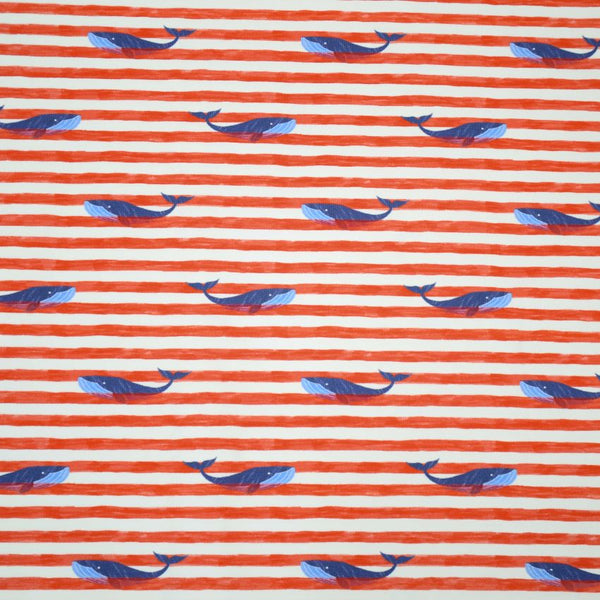 Jersey - Walvis - € 28/m